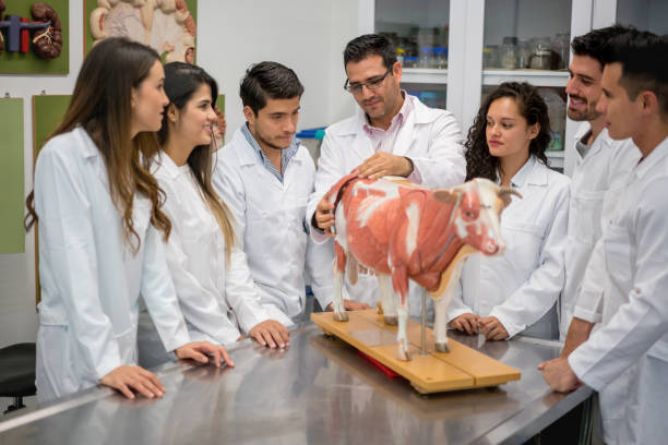 group of veterinary students in an anatomy class picture