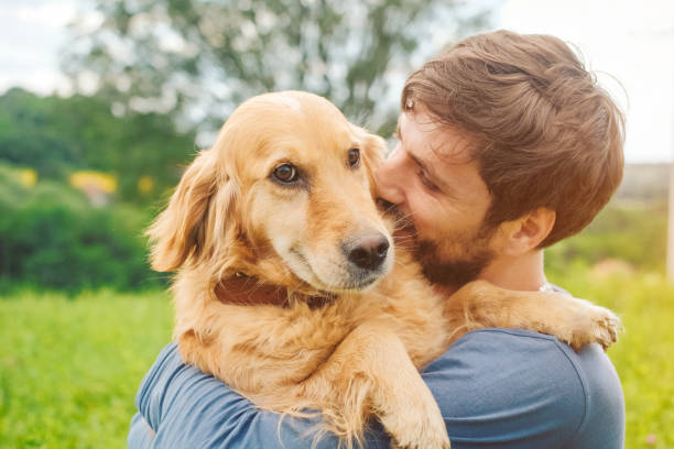 guy and his dog, golden retriever, nature - beautiful dog stock pictures, royalty-free photos & images