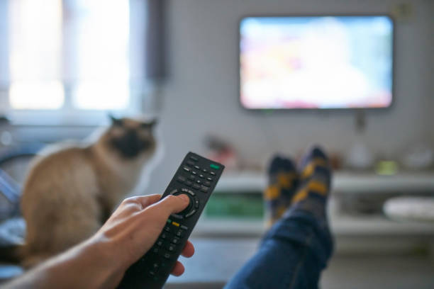 hand of man pointing remote control at working television screen - watching tv stock pictures, royalty-free photos & images