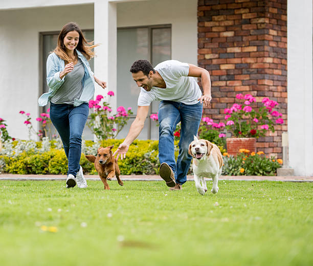 happy couple playing with their dogs - beautiful dog stock pictures, royalty-free photos & images