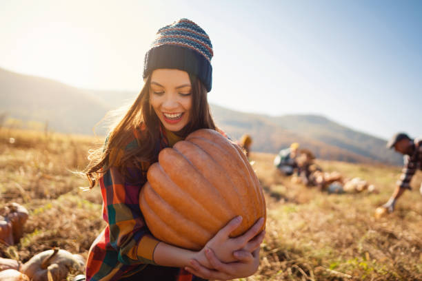 happy young female farmer harvesting pumpkins on the field - pumpkin patch. stock pictures, royalty-free photos & images