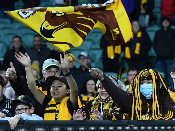 Hawks fans are seen during the round 10 AFL match between the Hawthorn Hawks and the Brisbane Lions at University of Tasmania Stadium on May 22, 2022...