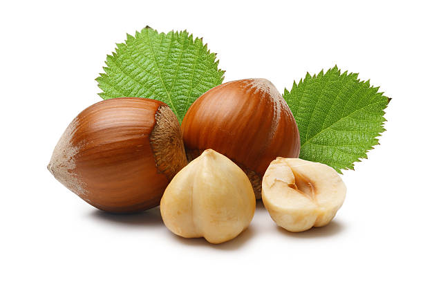 hazelnuts composition - hazelnut stock pictures, royalty-free photos & images