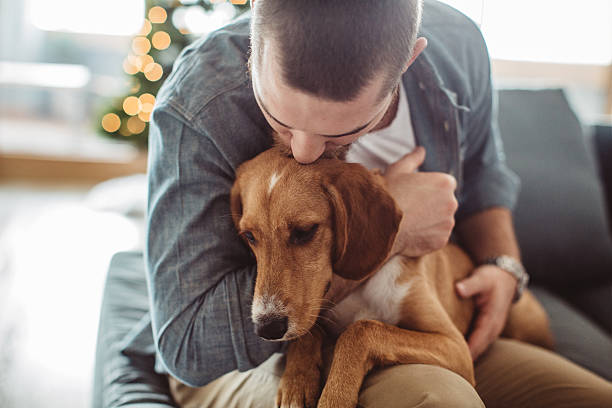 he really is man's best friend - beautiful dog stock pictures, royalty-free photos & images