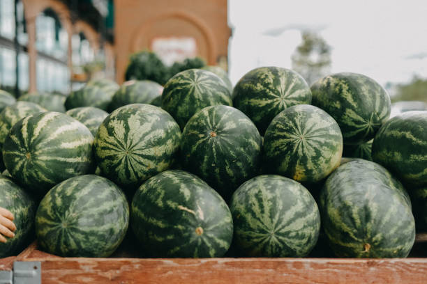 heap of watermelons at market - watermelon stock pictures, royalty-free photos & images