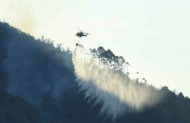CHN: Helicopters Dispatched To Extinguish Forest Fire In Chongqing