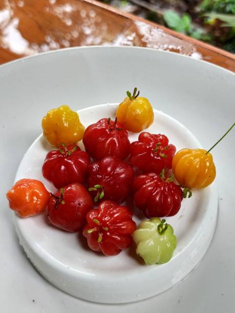 High angle view of cherry tomatoes in plate,Padinhattummuri,Kerala,India