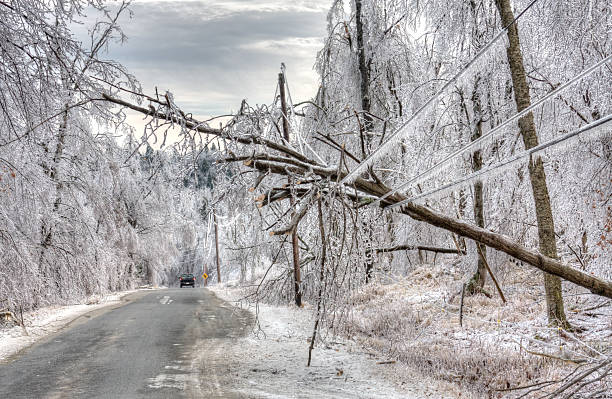 Image result for Free photo of ice storm