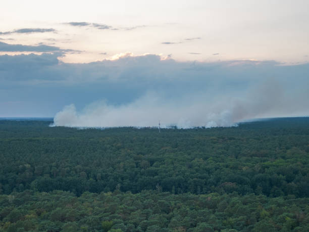 DEU: Explosions At Berlin Munitions Site Leads To Forest Fire