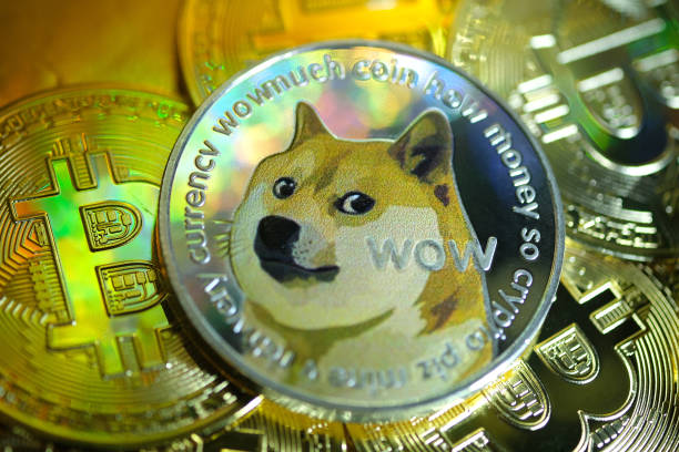 In this photo illustration, visual representations of digital cryptocurrencies, Dogecoin and Bitcoin are arranged on January 29, 2021 in Katwijk,...