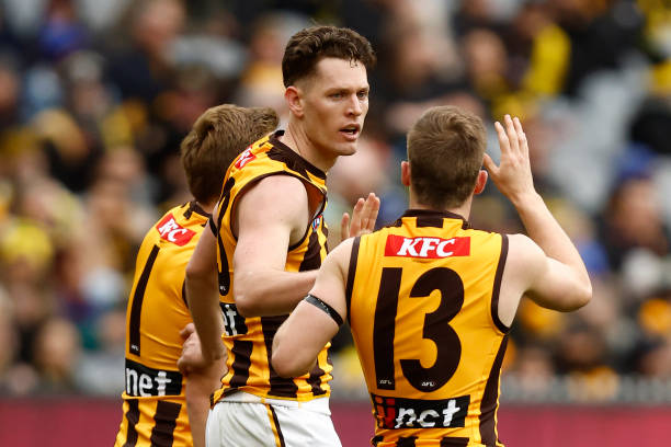 Jacob Koschitzke of the Hawks celebrates a goal during the round 22 AFL match between the Richmond Tigers and the Hawthorn Hawks at Melbourne Cricket...