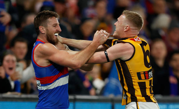 James Sicily of the Hawks and Marcus Bontempelli of the Bulldogs wrestle during the 2022 AFL Round 15 match between the Western Bulldogs and the...
