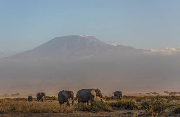 Kenya. Mount Kilimanjaro.