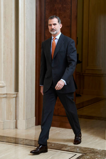 King Felipe VI of Spain receives members of 'Consejo de la Diputacion de la Grandeza de Espana y Titulos del Reino' at Zarzuela Palace on February 13...