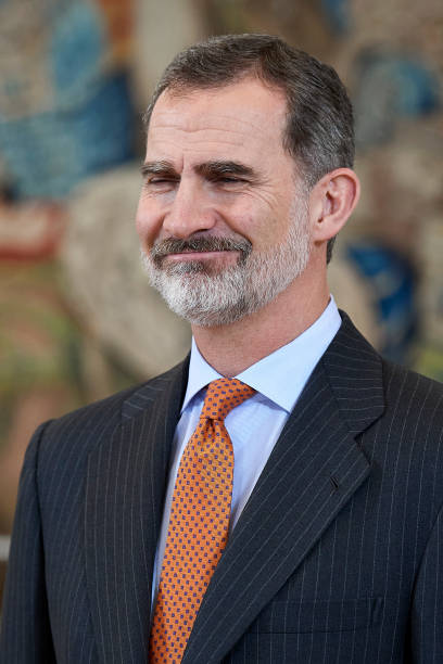 King Felipe VI of Spain receives members of 'Consejo de la Diputacion de la Grandeza de Espana y Titulos del Reino' at Zarzuela Palace on February 13...