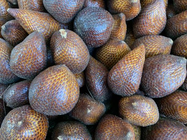 large group of thorny palm fruit - snake fruit stock pictures, royalty-free photos & images