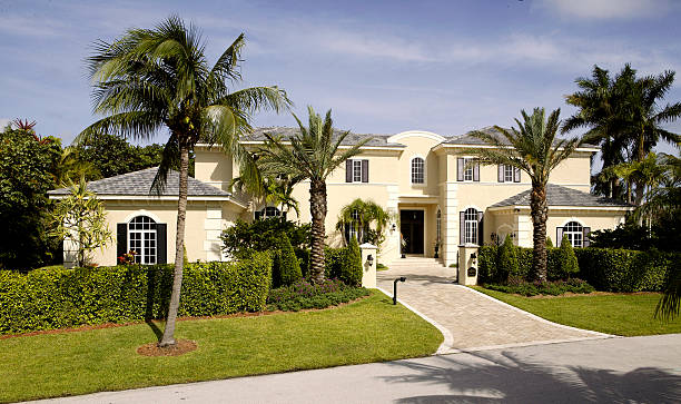 large home with palm trees picture