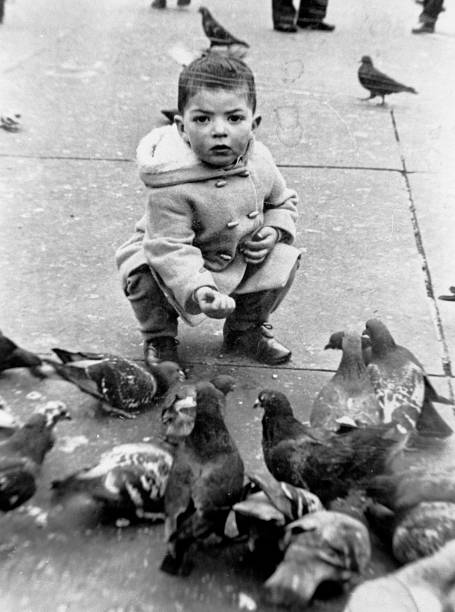 Little Boy Feeding Pigeons In Trafalgar Square - London, UK, 1960s