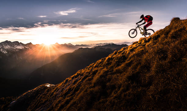 Mountainbike bilder - Der Vergleichssieger unseres Teams