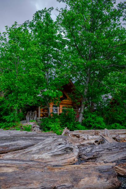 Log cabins surrounded by lush trees on the beach at Pourteu Cove