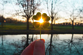 Lucky charm magic four-leaf clover