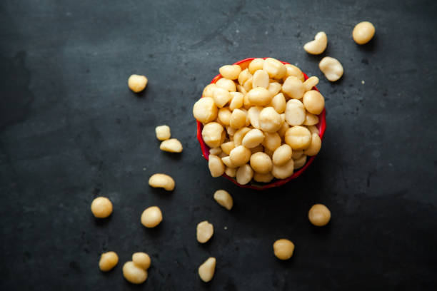 macadamia nuts picture