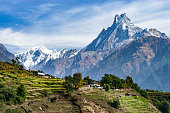 Machhapuchhre and Terraced Fields, Nepal