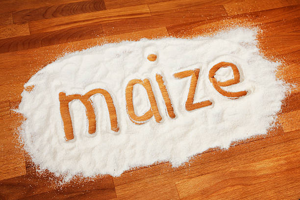 maize picture