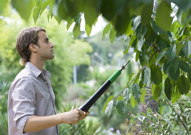 tree loppers