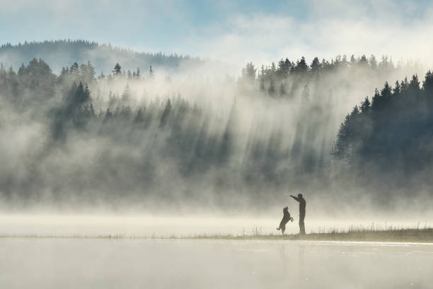 man playing with his dog by a misty mountain lake with sunbeams in a pine woodland - beautiful dog stock pictures, royalty-free photos & images