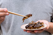 Man's hand holding chopsticks eating Crickets insect on plate. Food Insects for eat as food items, it is good source of meal high protein edible for future food concept.