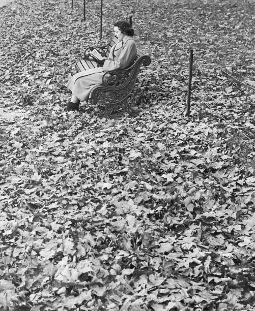 Miss Ruth Miller sits amidst a sea of autumn leaves in Hyde Park, 17th November 1950.