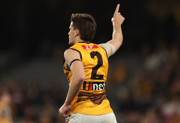 Mitch Lewis of the Hawks celebrates after scoring a goal during the round 17 AFL match between the Hawthorn Hawks and the Adelaide Crows at Marvel...