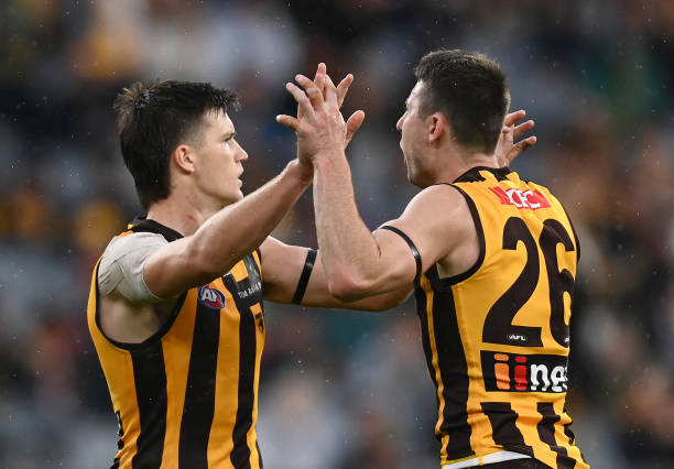 Mitch Lewis of the Hawks is congratulated by Liam Shiels after kicking a goal during the round five AFL match between the Hawthorn Hawks and the...