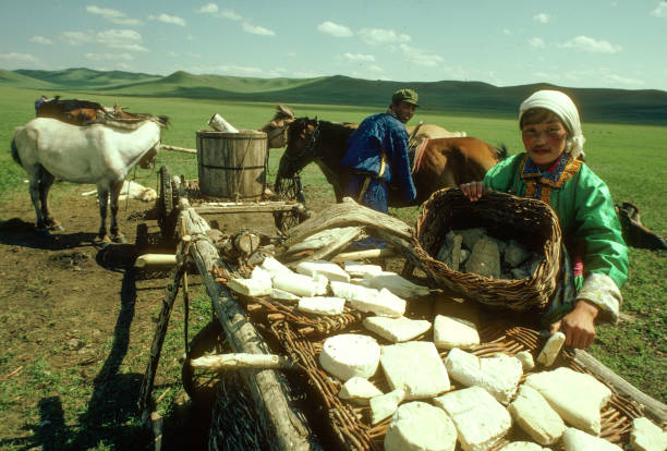 mongolian-nomad-woman-lying-out-aaruul-c