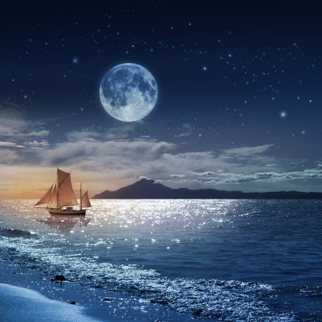 Moonlit Seascape with Boat