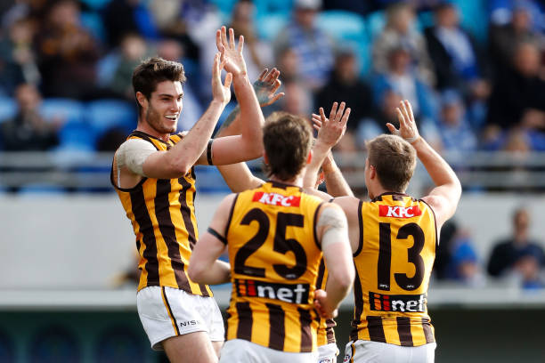Ned Reeves of the Hawks celebrates a goal during the 2022 AFL Round 19 match between the North Melbourne Kangaroos and the Hawthorn Hawks at...