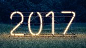 New year. 2017 neon sign