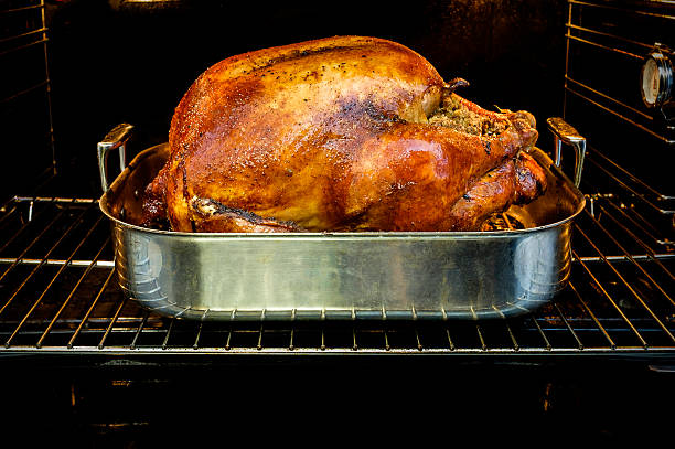 usa, new york state, new york city, roasted turkey for thanksgiving in oven - dinde rôtie photos et images de collection