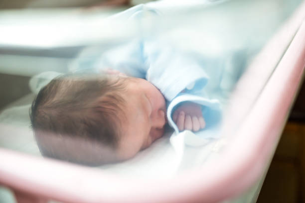 newborn baby sleeping in hospital bassinet - asian baby born stock pictures, royalty-free photos & images