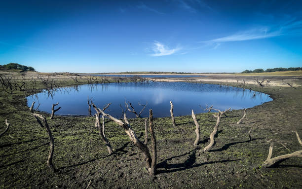 GBR: Drought Declared In Parts Of England