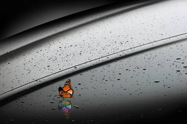 orange butterfly with rainbow reflection - 車　コーティング ストックフォトと画像