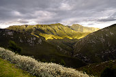 Outeniqua pass, George, South Africa
