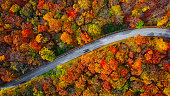 Overhead aerial view of winding mountain road inside colorful autumn forest