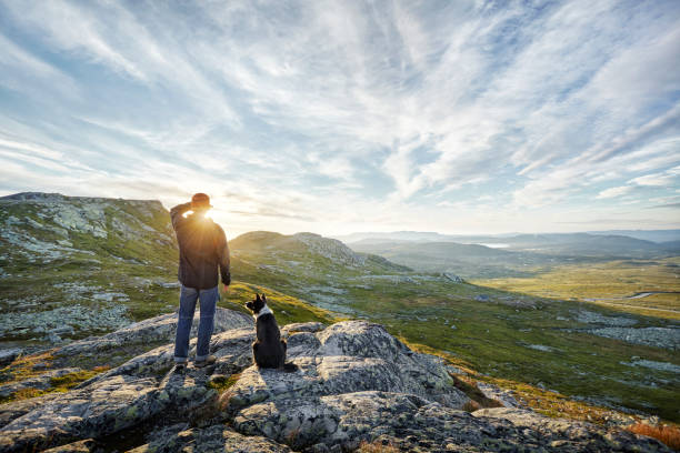 owner and dog watching sunrise in mountainous landscape - beautiful dog stock pictures, royalty-free photos & images