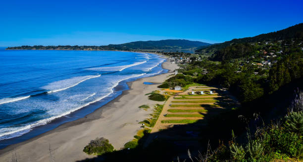 pacific ocean coastline along stinson beach california picture