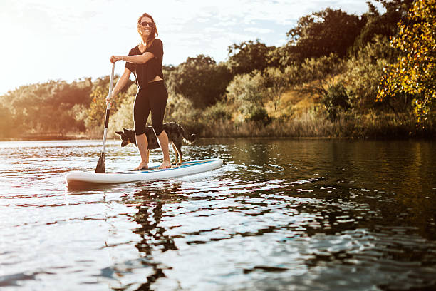 paddleboarding woman with dog - beautiful dog stock pictures, royalty-free photos & images