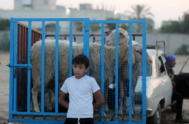 GZA: Gazans Prepare To Celebrate Eid al-Adha