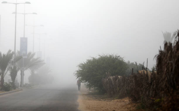 GZA: Fog In Gaza City