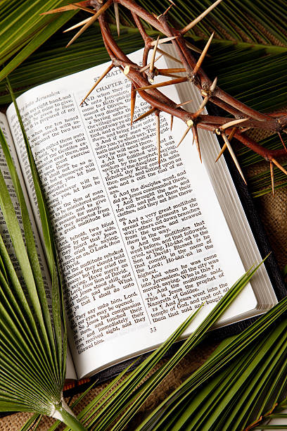 palm branches and crown of thorns with kjv bible - good friday stockfoto's en -beelden